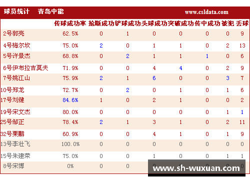 青岛足球队球员名单及其技术统计 - 副本
