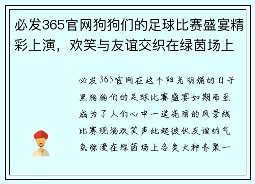 必发365官网狗狗们的足球比赛盛宴精彩上演，欢笑与友谊交织在绿茵场上